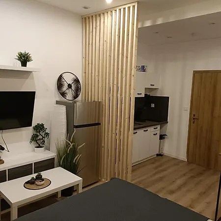 Appartement Tres Agreable Roubaix